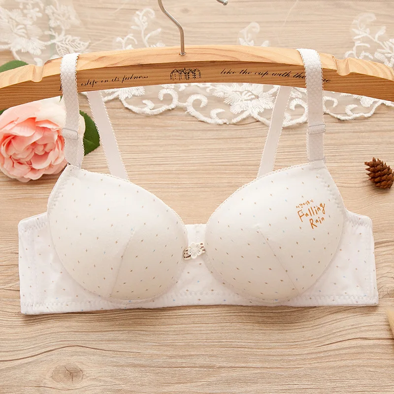 Teens Underwear Wire Free Cotton Teenage Girls Bras Lingerie Young Girls Training Bra with Adjustable Strap
Teens Underwear Wire Free Cotton Teenage Girls Bras Lingerie Young Girls Training Bra with Adjustable Strap