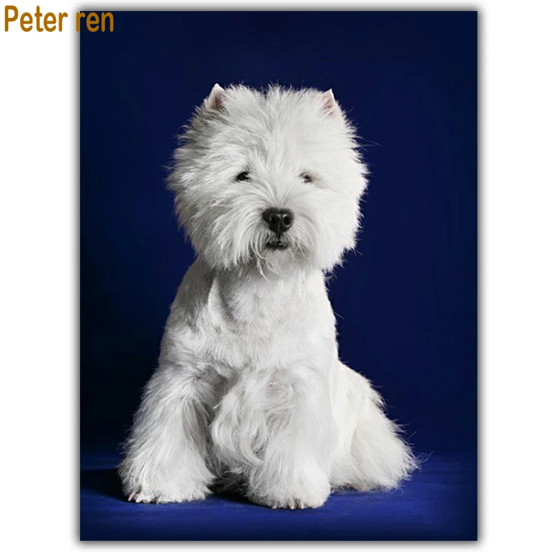 Diy 5d Diamond painting White pet dog Diamond embroidery animal full square Diamond mosaic crafts Needlework painting rhinestone
Diy 5d Diamond painting White pet dog Diamond embroidery animal full square Diamond mosaic crafts Needlework painting rhinestone