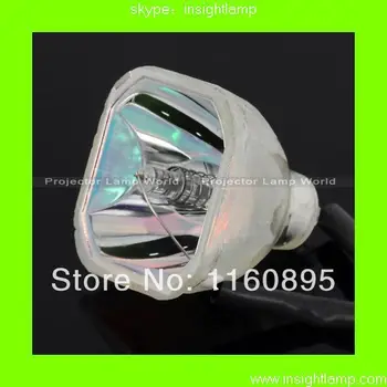 Excellent quality! projector bare Lamp&Bulb TLPLW21 for TLP-X100/TLP-X150/TP-X200
Excellent quality! projector bare Lamp&Bulb TLPLW21 for TLP-X100/TLP-X150/TP-X200