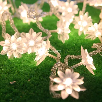 10M/33ft 80 Led Battery Operated Christmas Fairy String Lights Lotus Flower Indoor Home Tree Christmas Party Patio Decoration
10M/33ft 80 Led Battery Operated Christmas Fairy String Lights Lotus Flower Indoor Home Tree Christmas Party Patio Decoration