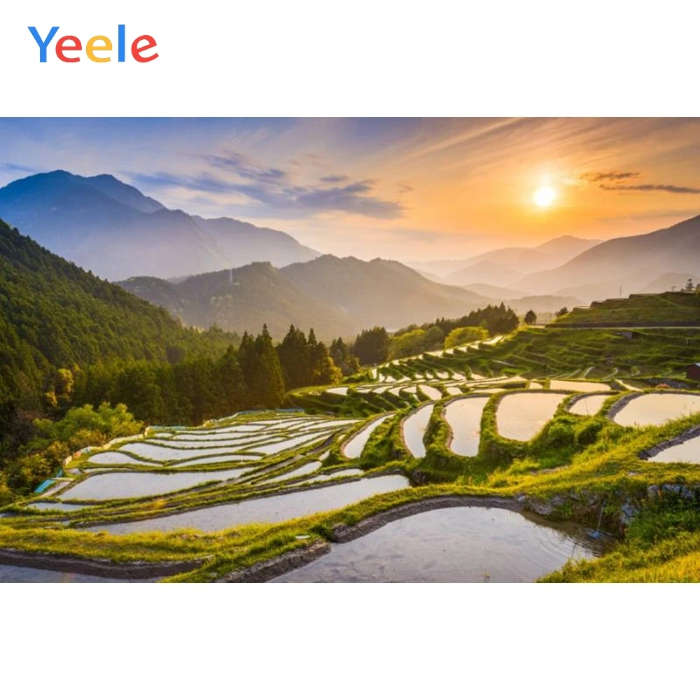 Yeele Sunset Mountains Terraced Field Tree Photocall Studio Photography Backdrops Photo Backdrop Background For Photo shoots
Yeele Sunset Mountains Terraced Field Tree Photocall Studio Photography Backdrops Photo Backdrop Background For Photo shoots