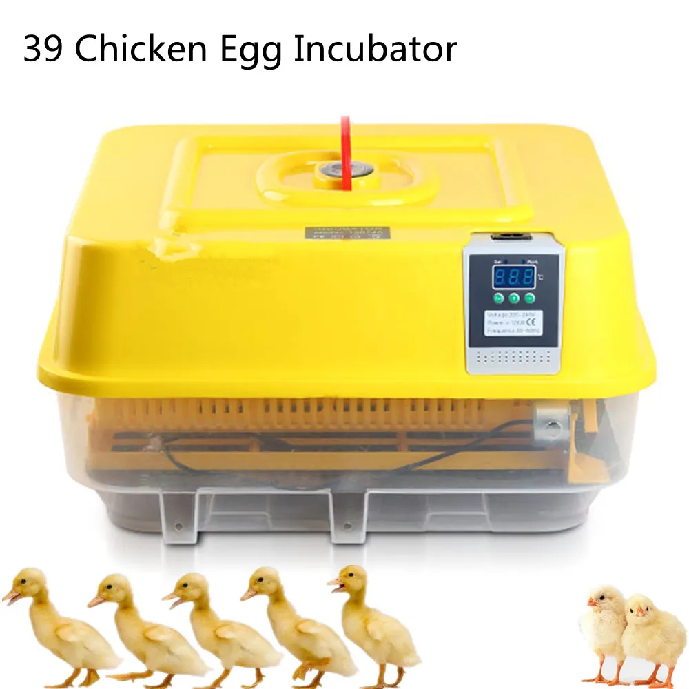 Automatic Chicken Duck Goose Pigeon Quail Poultry Bird Egg Incubator With Advanced Technology Keep Constant Temperature Hatchery
Automatic Chicken Duck Goose Pigeon Quail Poultry Bird Egg Incubator With Advanced Technology Keep Constant Temperature Hatchery