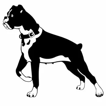15.2*14CM Boxer Dog Personality Funny Animal Classic Car Stickers Body Decoration Decal Black/Silver C6-1698
15.2*14CM Boxer Dog Personality Funny Animal Classic Car Stickers Body Decoration Decal Black/Silver C6-1698
