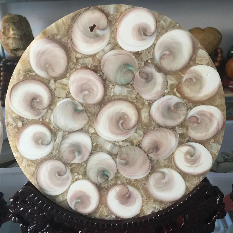 New arrivals large size 100% natural white conch shell fossil stone disk healing for home & office decoration without the base
New arrivals large size 100% natural white conch shell fossil stone disk healing for home & office decoration without the base