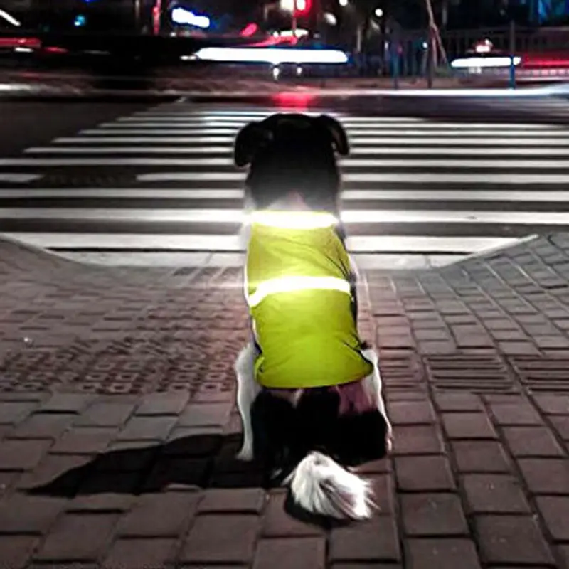 Pet Safety Reflective For Large Dog Vests Clothes Night Small Pet Coat Reflective Dog Vest Safety
Pet Safety Reflective For Large Dog Vests Clothes Night Small Pet Coat Reflective Dog Vest Safety