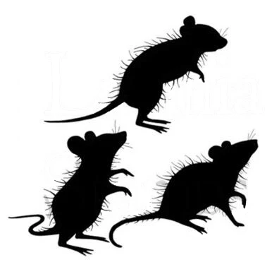 mouse Transparent Silicone Clear Rubber Stamp Sheet Cling Scrapbooking DIY Cute Pattern Photo Album Paper Card Decor Stamp
mouse Transparent Silicone Clear Rubber Stamp Sheet Cling Scrapbooking DIY Cute Pattern Photo Album Paper Card Decor Stamp