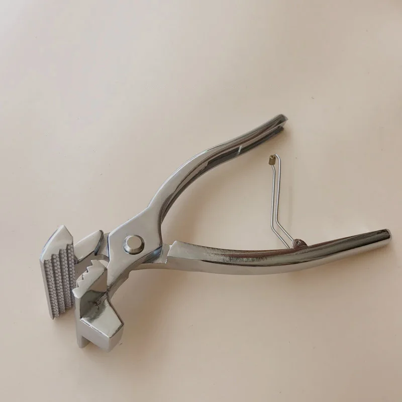 Free shipping 2017 New Chrome Canvas Stretching Plier Standard Jaw Tool Stretcher
Free shipping 2017 New Chrome Canvas Stretching Plier Standard Jaw Tool Stretcher