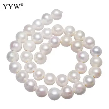 Cultured Potato Freshwater Pearl Beads Natural White 11-12mm Approx 2mm Sold Per 15.7 Inch Strand 
Cultured Potato Freshwater Pearl Beads Natural White 11-12mm Approx 2mm Sold Per 15.7 Inch Strand