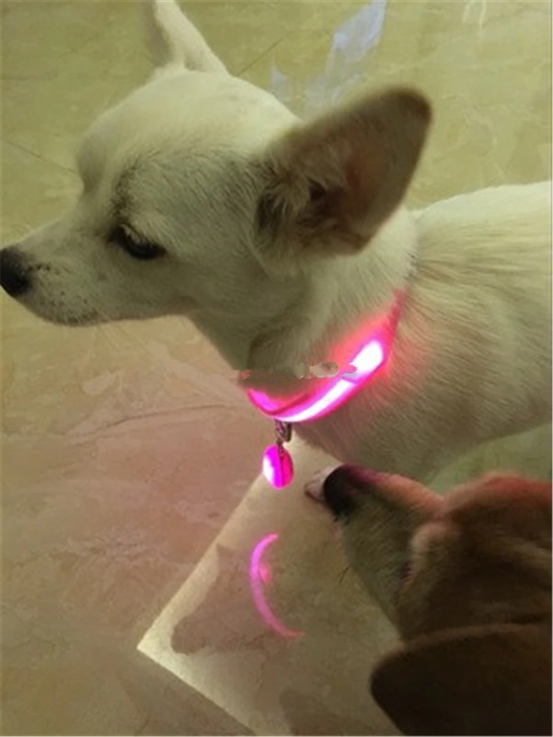 FC100 Cute LED Nylon Pet Dog Collar and Glowing pendant Night Safety Glow Flashing Dog Cat Collar USB Rechargeable/Battery
FC100 Cute LED Nylon Pet Dog Collar and Glowing pendant Night Safety Glow Flashing Dog Cat Collar USB Rechargeable/Battery