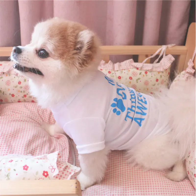 QQ20190409170122