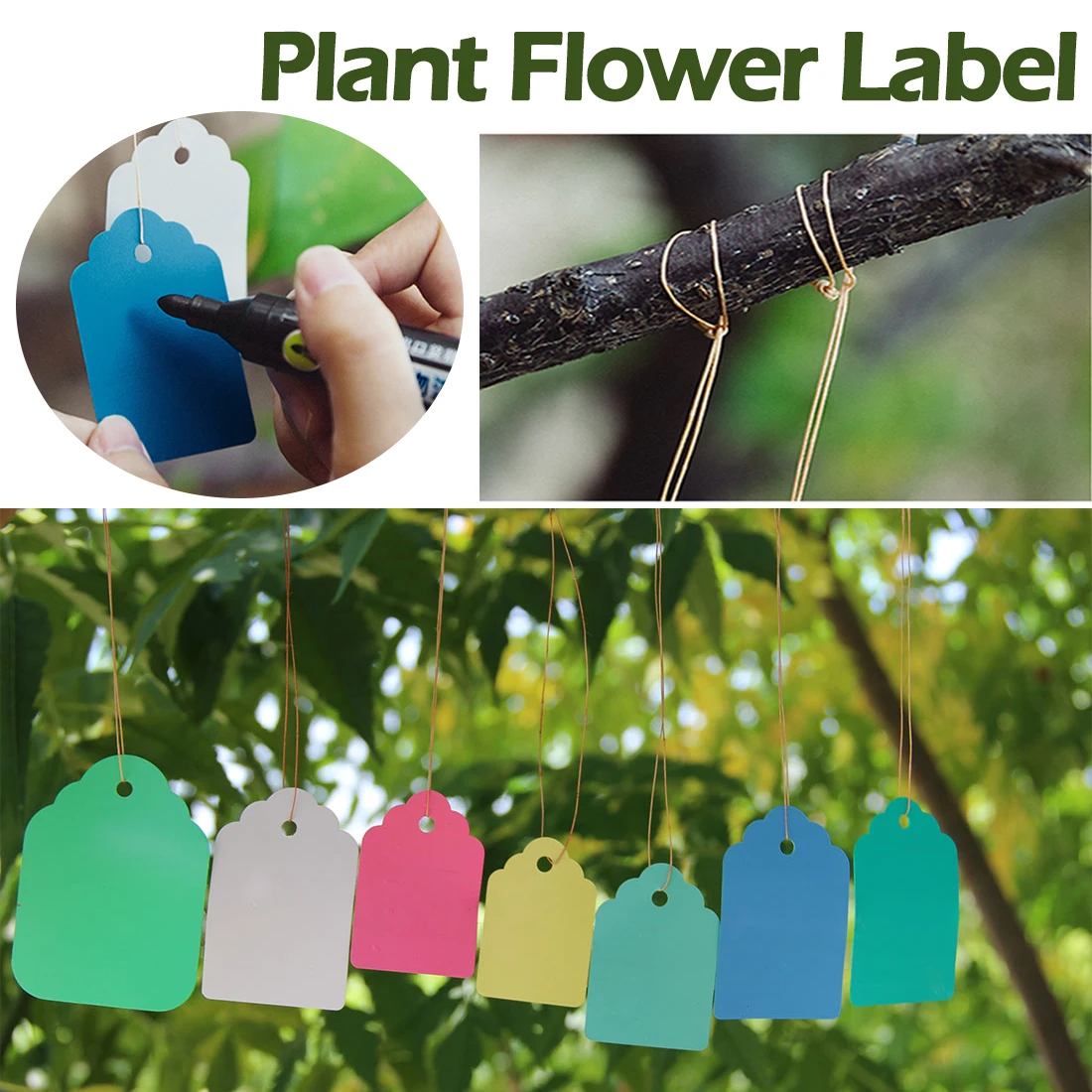 Reusable PVC Garden Tools 100pcs Plants Hang Tag Labels Seeding Garden Flower Pot Plastic Tags Number Plate Hangting Candy Color 
Reusable PVC Garden Tools 100pcs Plants Hang Tag Labels Seeding Garden Flower Pot Plastic Tags Number Plate Hangting Candy Color
