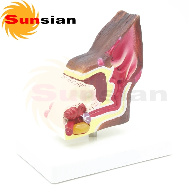 Мастурбатор Для Собак