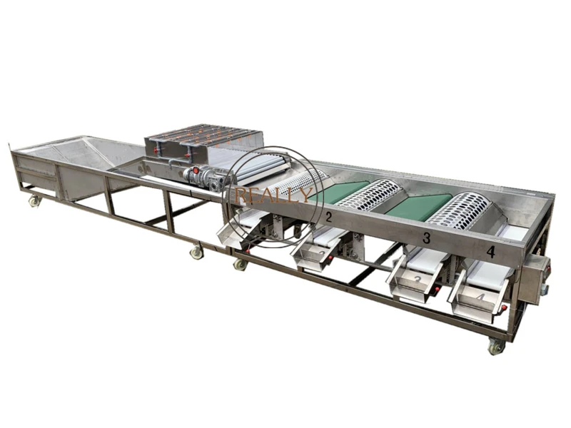 potatoes water spray grading onion grader Fruit cleaning sorting machine with soaking pool
potatoes water spray grading onion grader Fruit cleaning sorting machine with soaking pool