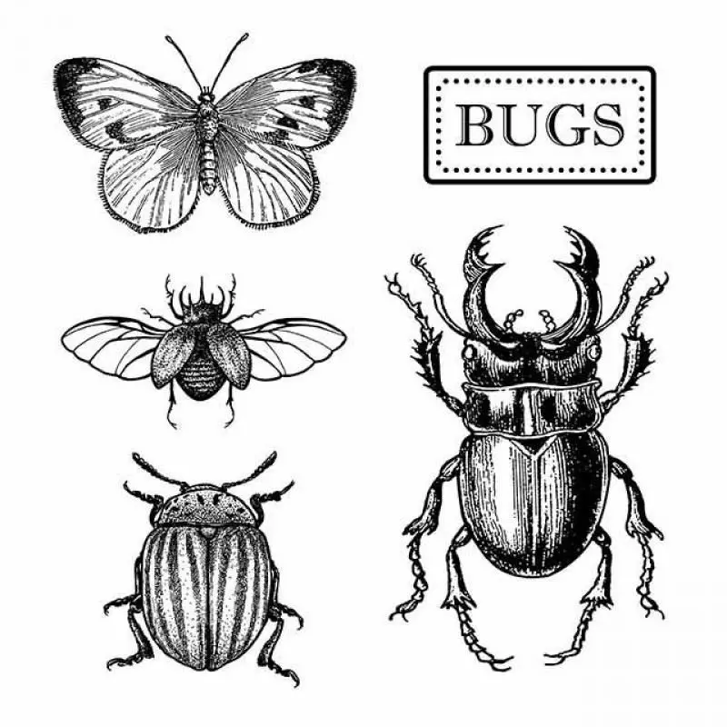Insect stamp Clear Stamp for Scrapbooking Transparent Silicone Rubber DIY Photo Album Decor A146
Insect stamp Clear Stamp for Scrapbooking Transparent Silicone Rubber DIY Photo Album Decor A146