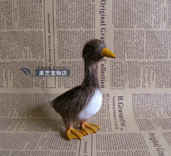 cute simulation duck toy lifelike gray wild duck doll model gift about 15x6x14cm
cute simulation duck toy lifelike gray wild duck doll model gift about 15x6x14cm