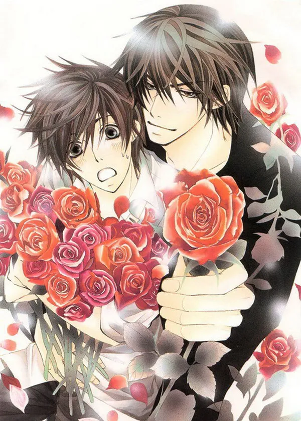 Sekai-ichi Hatsukoi Anime Onodera Takano 150*210CM Single-side Quilt Cover #36514
Sekai-ichi Hatsukoi Anime Onodera Takano 150*210CM Single-side Quilt Cover #36514