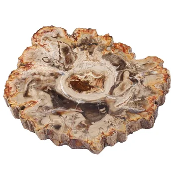 TUMBEELLUWA Natural Polished Petrified Wood Slab Beverage Coasters Cup Mat, Stones Specimen Decoration 3.3"-4.7" 
TUMBEELLUWA Natural Polished Petrified Wood Slab Beverage Coasters Cup Mat, Stones Specimen Decoration 3.3"-4.7"