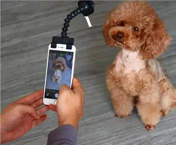 Pet Selfie Stick for Pets Dog Cat fit iPhone Samsung and Most Smartphone Tablet Dog Selfie Stick Black/White Drop Shipping 10PCS
Pet Selfie Stick for Pets Dog Cat fit iPhone Samsung and Most Smartphone Tablet Dog Selfie Stick Black/White Drop Shipping 10PCS