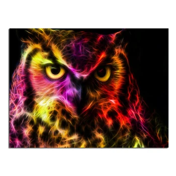 Fancy Owl Figure 30x40cm Full drill diamond embroidery 3d diamond cross stitch fashion diamond mosaic pictures of rhinestones
Fancy Owl Figure 30x40cm Full drill diamond embroidery 3d diamond cross stitch fashion diamond mosaic pictures of rhinestones