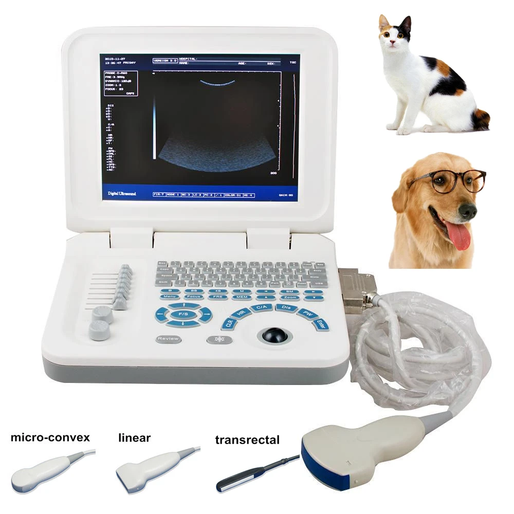 Free shipping pig sheep dog cat cattle veterinary ultrasound pregnancy detector for sale
Free shipping pig sheep dog cat cattle veterinary ultrasound pregnancy detector for sale