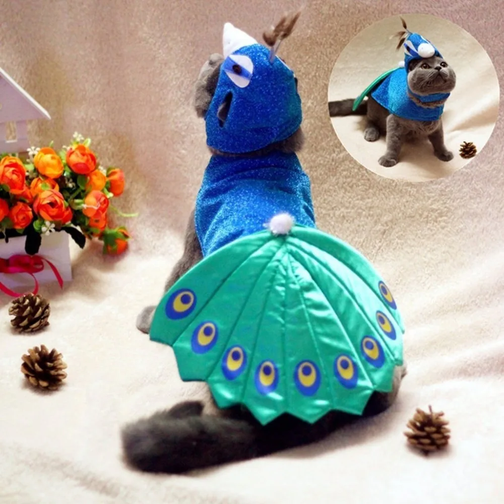 Peacock Design Pets Costume Halloween Animal Cosplay Clothes for Dog Cat Hats Cape 2piece Set Festival Dogs Products
Peacock Design Pets Costume Halloween Animal Cosplay Clothes for Dog Cat Hats Cape 2piece Set Festival Dogs Products