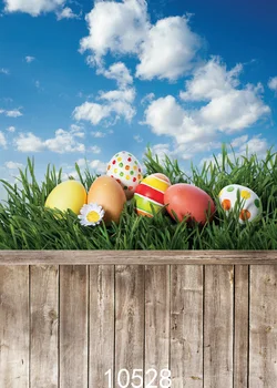 150x210cm Easter photos background Natural spring background wood backdrop Fond studio photo vinyle Photography-studio-backdrop
150x210cm Easter photos background Natural spring background wood backdrop Fond studio photo vinyle Photography-studio-backdrop