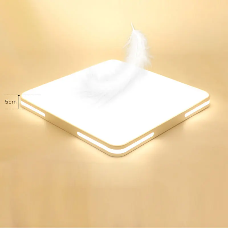 24W Modern LED Ceiling Light Fixtures for Study Dining Room Bedroom Living Room Balcony Ceiling Lamp AC90-265V Simple Decoration
24W Modern LED Ceiling Light Fixtures for Study Dining Room Bedroom Living Room Balcony Ceiling Lamp AC90-265V Simple Decoration