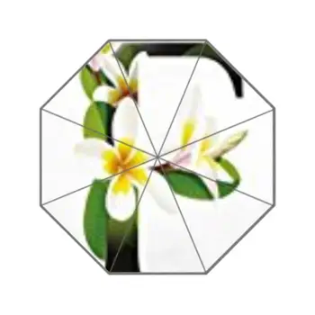 Green Leaves Vibrant Color Floral Foldable Folding Parasol Sun/Rain Umbrella Anti-UV Protection custom Umbrella for Ladies
Green Leaves Vibrant Color Floral Foldable Folding Parasol Sun/Rain Umbrella Anti-UV Protection custom Umbrella for Ladies