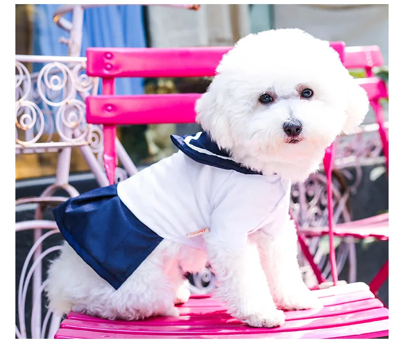 TB2DbfDppOWBuNjy0FiXXXFxVXa_!!704407379