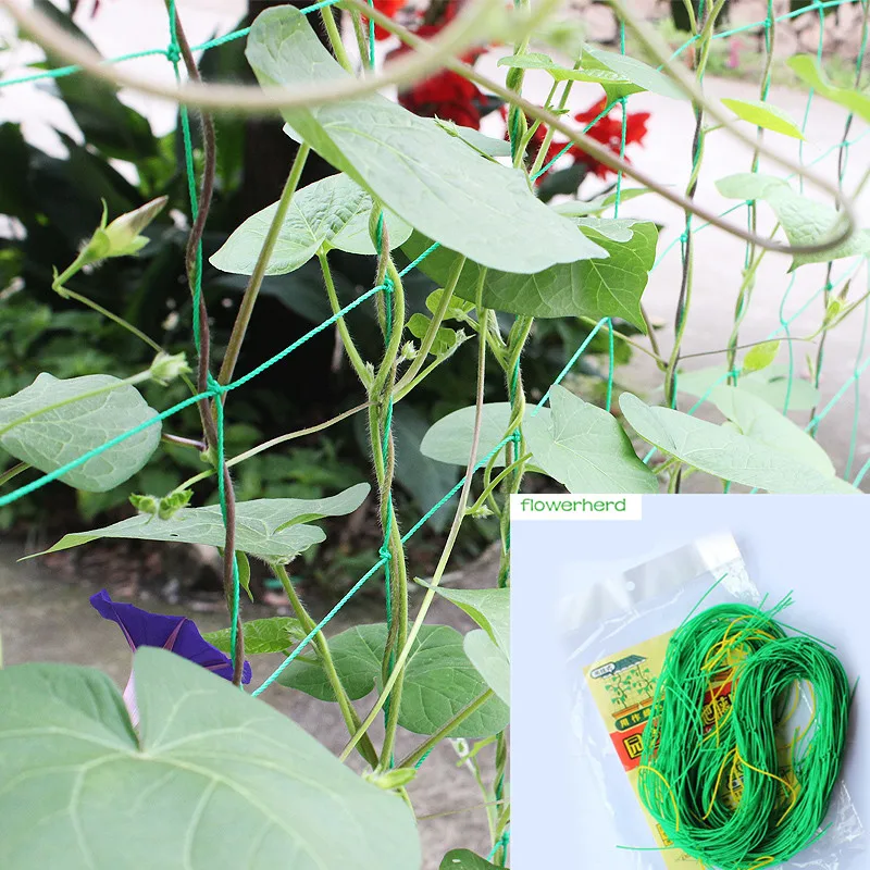 Ivy Climbing Frame Home Gardening Net Fruit Plants Fence Plastic Nylon Net 1.8*0.9M/1.8M/2.7M/3.6M Mesh Net 10CM Grid
Ivy Climbing Frame Home Gardening Net Fruit Plants Fence Plastic Nylon Net 1.8*0.9M/1.8M/2.7M/3.6M Mesh Net 10CM Grid