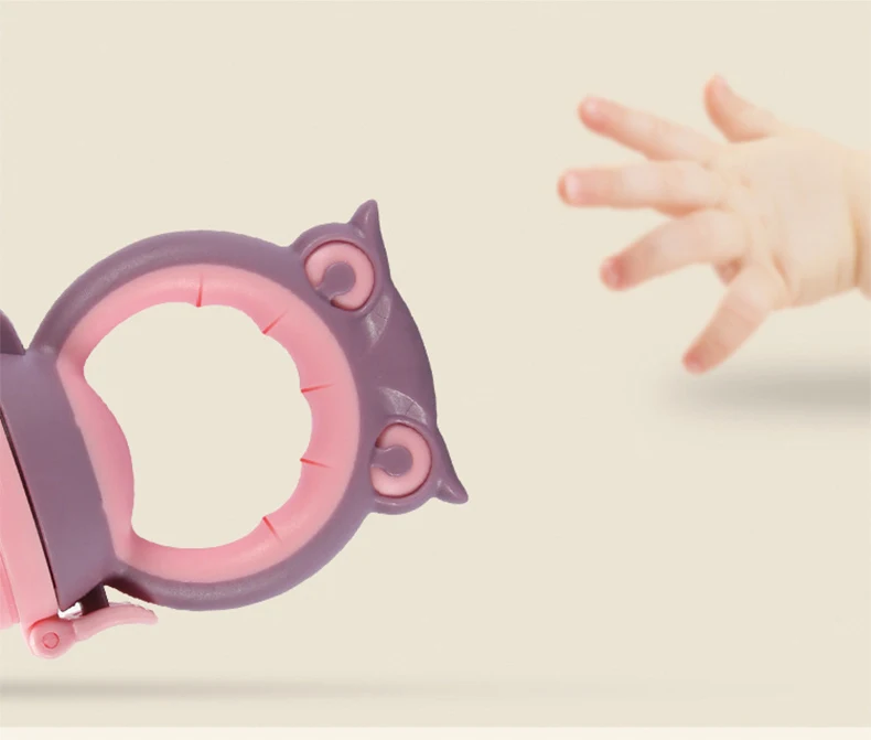 Fruit Pacifier4