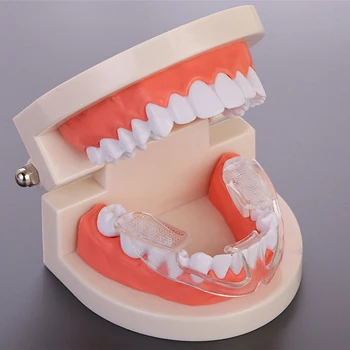 1Pcs Dental Tooth Orthodontic Appliance Trainer Alignment Braces Mouthpieces Dental Orthotics Teeth Care Tooth Tray oral care
1Pcs Dental Tooth Orthodontic Appliance Trainer Alignment Braces Mouthpieces Dental Orthotics Teeth Care Tooth Tray oral care