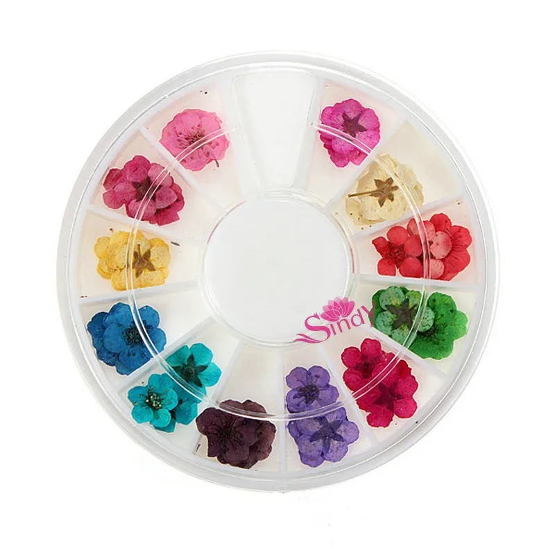 HTB1CvkKGVXXXXbnXFXXq6xXFXXXm