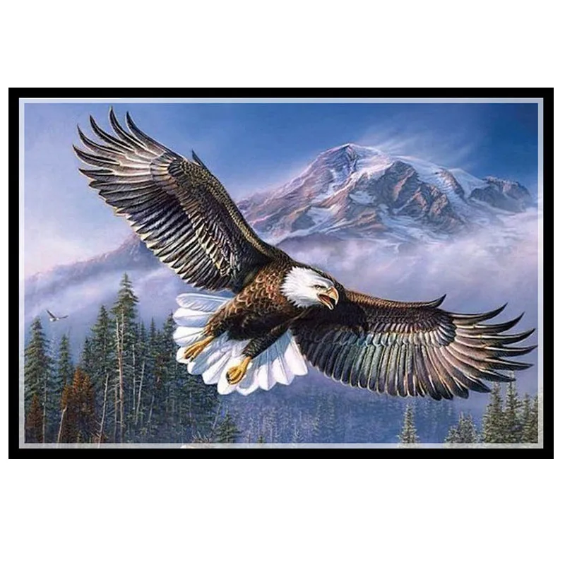 Рукоделие вышивка крестиком сделай сам DMC 14CT наборы для вышивки Eagles fly 2 домашняя