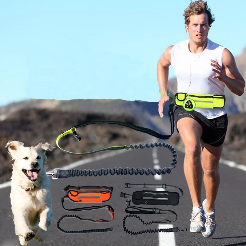Pet Running Leash With Waist Bag Hands Free Reflective Pets Dog Jogging Collar Leash Waist Rope For Small Dog Medium Big Dogs
Pet Running Leash With Waist Bag Hands Free Reflective Pets Dog Jogging Collar Leash Waist Rope For Small Dog Medium Big Dogs