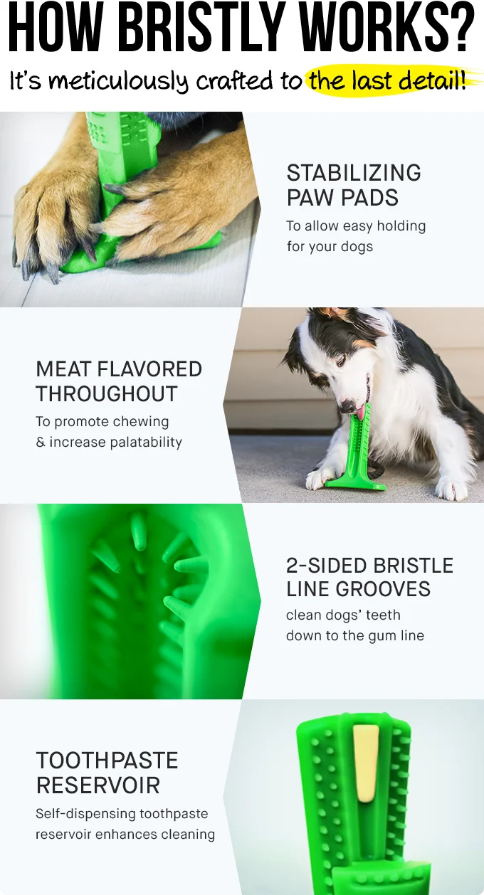green dog toothbrush