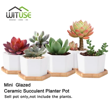 WITUSE Glazed Geometry White Ceramic Succulent Plant Pot Bonsai Planter Desktop Porcelain Flower Pot Home Decor(1 Pot + 1 Stand)
WITUSE Glazed Geometry White Ceramic Succulent Plant Pot Bonsai Planter Desktop Porcelain Flower Pot Home Decor(1 Pot + 1 Stand)