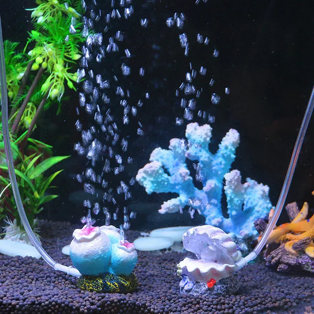 4mm Tube Nice Aquarium set aquarium landscaping decoration oxygenation decorative bubble stone pearl shell aquarium landscaping
4mm Tube Nice Aquarium set aquarium landscaping decoration oxygenation decorative bubble stone pearl shell aquarium landscaping