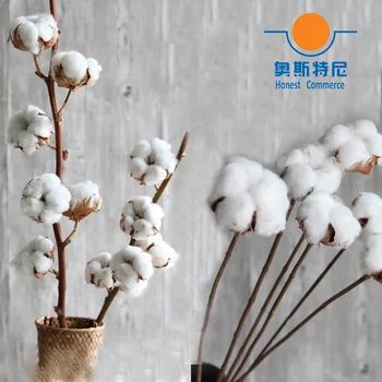 dried artificial flower bouquets dried cotton branch flower bouquets bunches made by natural material
dried artificial flower bouquets dried cotton branch flower bouquets bunches made by natural material