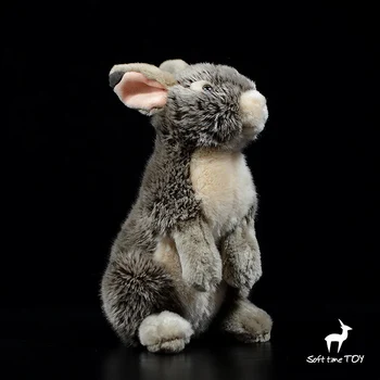 Rare Cute Black Sea Rabbit Dolls Real Life Plush Toy Holidsy Gifts Present Toys Store Good Quality Soft
Rare Cute Black Sea Rabbit Dolls Real Life Plush Toy Holidsy Gifts Present Toys Store Good Quality Soft
