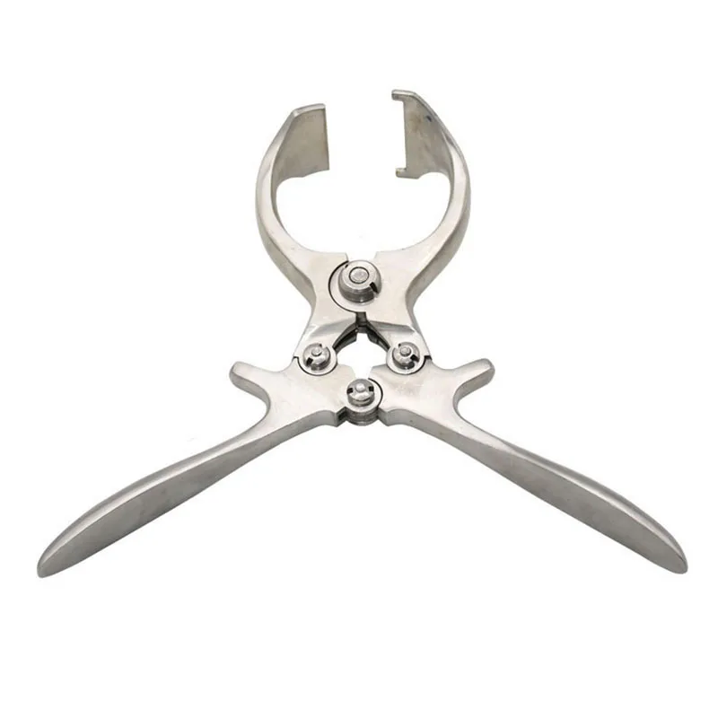 Stainless Steel Castration Clamp Bloodless Castrating Pig Special Tool Castration Forceps Veterinary Special Tools
Stainless Steel Castration Clamp Bloodless Castrating Pig Special Tool Castration Forceps Veterinary Special Tools