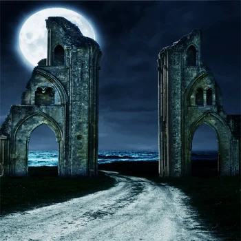 Laeacco Dark Moon Stone Arch Door Way Scenic Photographic Backgrounds Customized Photography Backdrops For Photo Studio
Laeacco Dark Moon Stone Arch Door Way Scenic Photographic Backgrounds Customized Photography Backdrops For Photo Studio