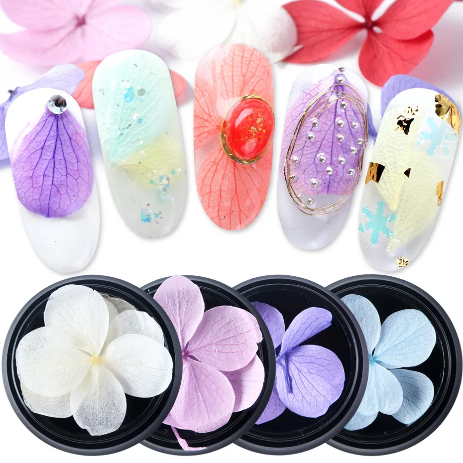 1pcs Real Dried Flowers 3D Colorful Hydrangea Floral Nail Art Decoration Natural Sticker Manicure DIY Jewelry Accessories JI1500
1pcs Real Dried Flowers 3D Colorful Hydrangea Floral Nail Art Decoration Natural Sticker Manicure DIY Jewelry Accessories JI1500