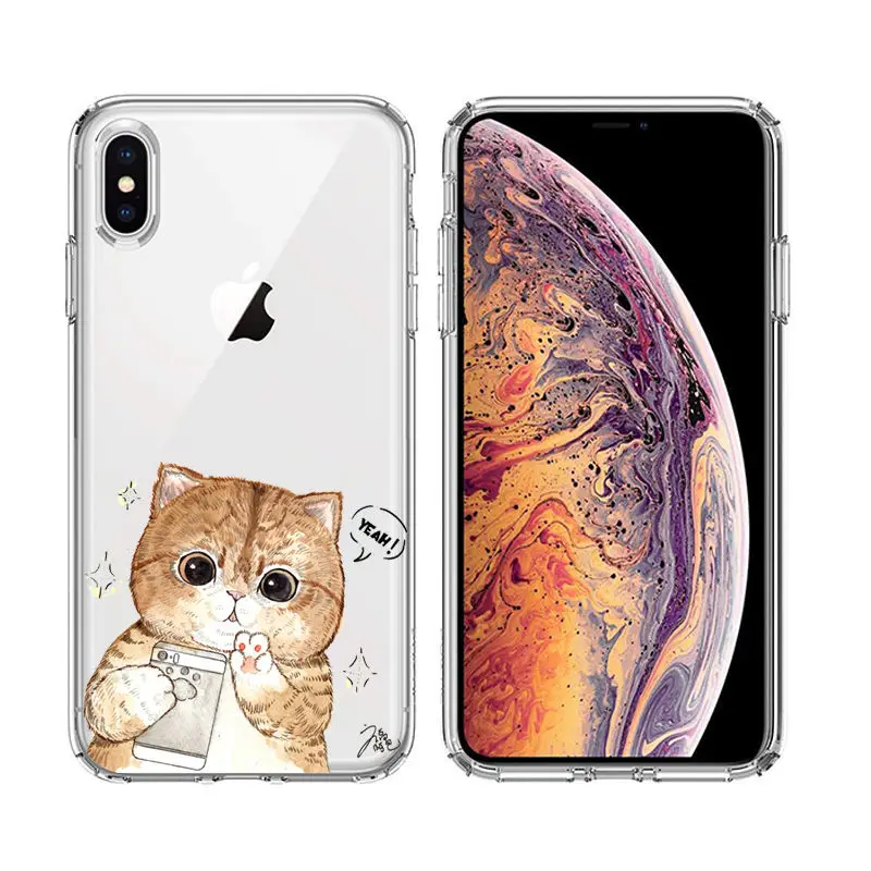 Arvin Painted Case FOR Iphone 5 5S 6s Plus X XS Max XR Soft Silicon Cover FOR Iphone 6s Clear Protective TPU Back Cover for 7 8 (19)
