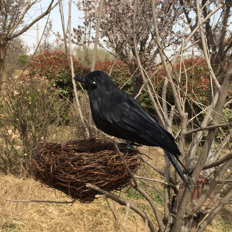 small cute black simulation crow toy plastic & furs crow and nest model doll gift about 16cm 1709
small cute black simulation crow toy plastic & furs crow and nest model doll gift about 16cm 1709