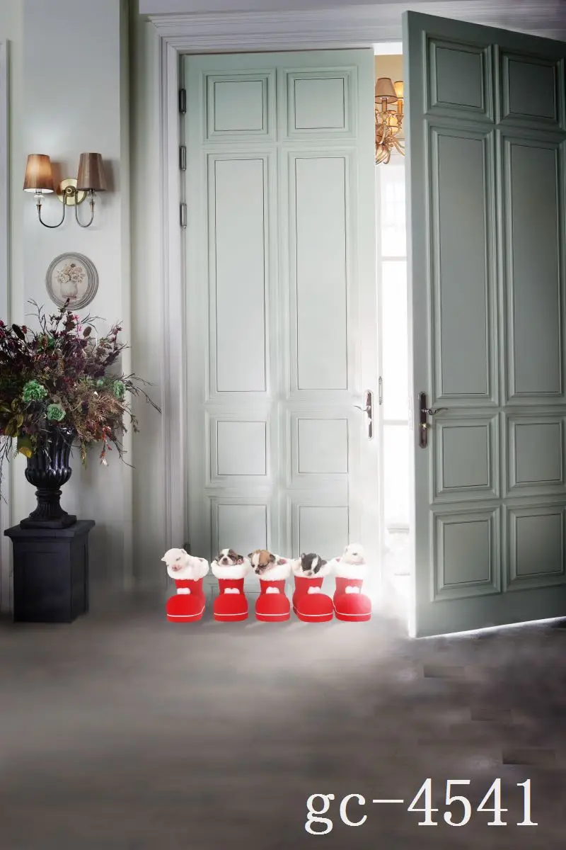 3*5M Art Cloth Custom Photography Backdrops Prop Indoor theme Studio Background GC-4541 
3*5M Art Cloth Custom Photography Backdrops Prop Indoor theme Studio Background GC-4541