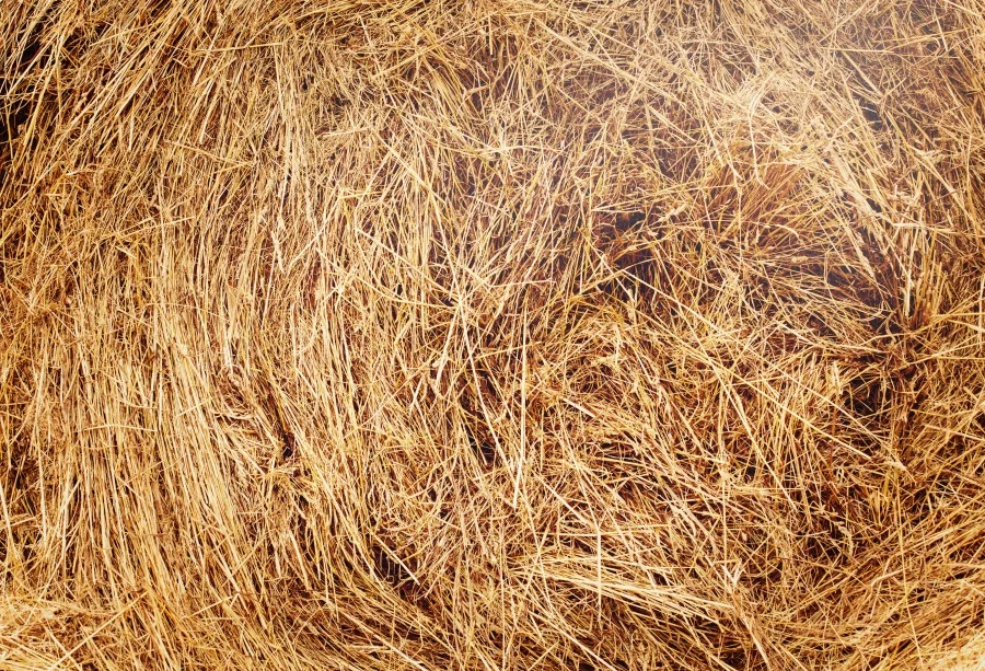 Laeacco Hay Bale Farm Portrait Scene Photography Backgrounds Customized Photographic Backdrops For Photo Studio
Laeacco Hay Bale Farm Portrait Scene Photography Backgrounds Customized Photographic Backdrops For Photo Studio