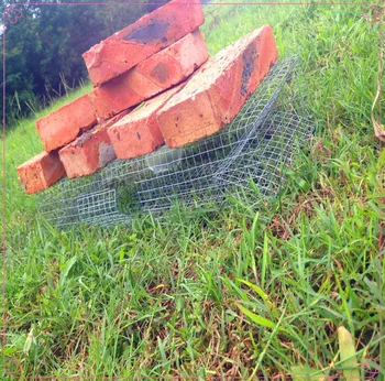 High Quality live catch Snake trap/Drum belly giant Viper trap /with low price from ancient china
High Quality live catch Snake trap/Drum belly giant Viper trap /with low price from ancient china
