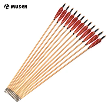 6/12/24pcs 30 inch Wooden Arrow Spine 500 OD 8.5mm with White Pine Arrow Shafts and Red Turkey Feather for Bow Archery Shooting
6/12/24pcs 30 inch Wooden Arrow Spine 500 OD 8.5mm with White Pine Arrow Shafts and Red Turkey Feather for Bow Archery Shooting