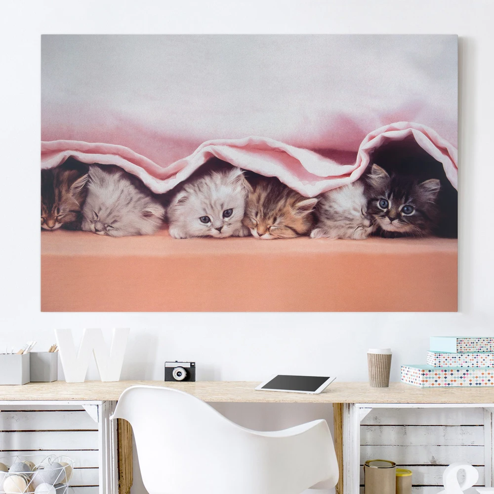 Kawaii Animal Sweet Cat Poster Minimalist Art Cute Peekaboo Canvas Painting Wall Picture Print Modern Home Room Salon Decoration 
Kawaii Animal Sweet Cat Poster Minimalist Art Cute Peekaboo Canvas Painting Wall Picture Print Modern Home Room Salon Decoration